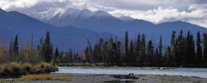 A view of the Upper Kenai River, near where I will be living on the peninsula.